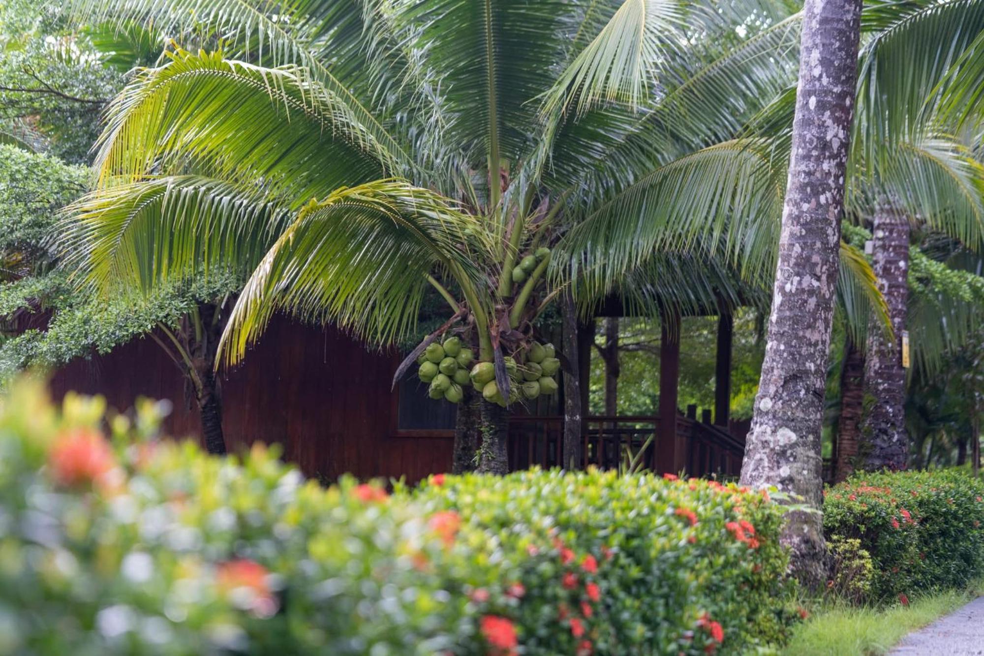Mafiya Resort Thansour beach Exteriör bild